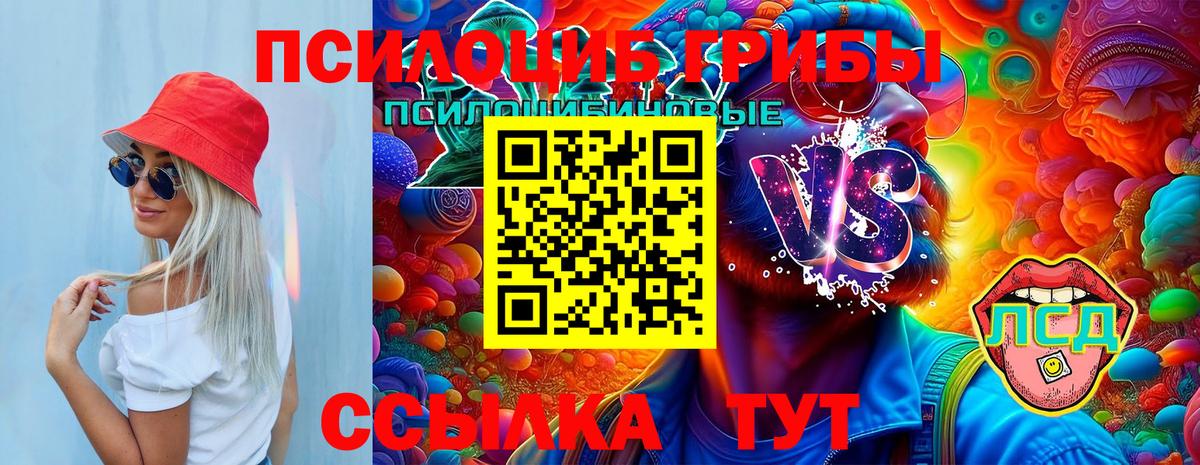 Псилоцибиновые грибы Cubensis Искитим