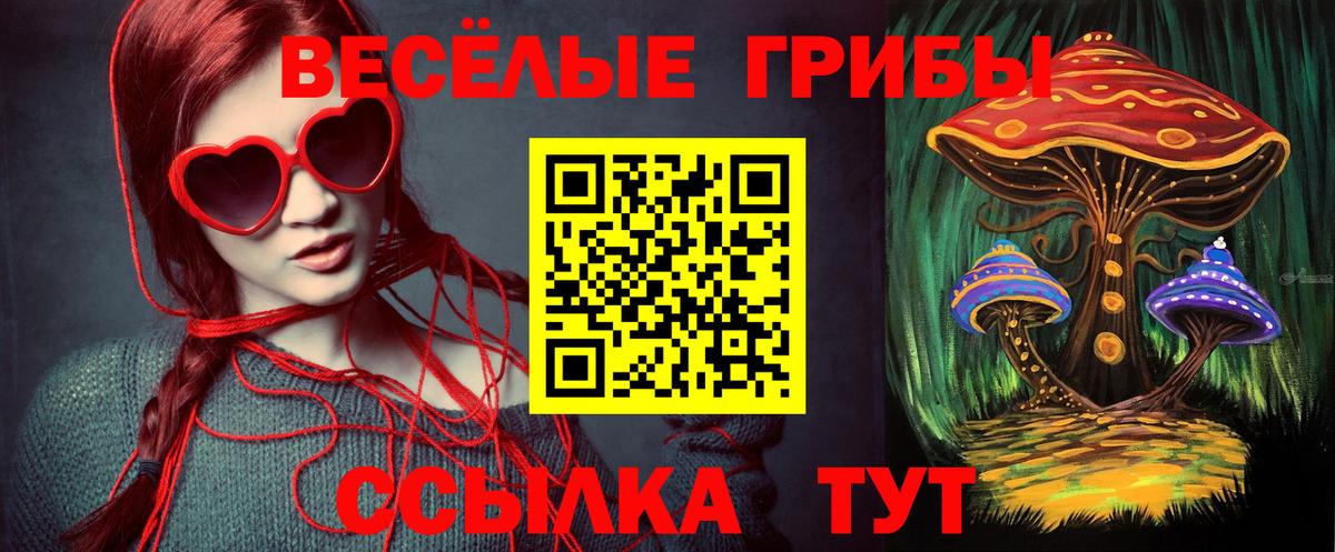 Галлюциногенные грибы мицелий  Вход с VPN  Искитим  Псилоцибиновые грибы мицелий 